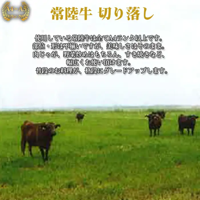 【常陸牛】切り落し　約900g＜茨城県共通返礼品＞ ／ A4ランク以上 ブランド牛 切り落し 黒毛和牛 牛肉 肉 すき焼き 焼肉 しゃぶしゃぶ 牛丼 肉じゃが BBQ グリル ご家庭用 万能 幅広く使える 便利 用途多様 産直 藤井商店 茨城県 No.438