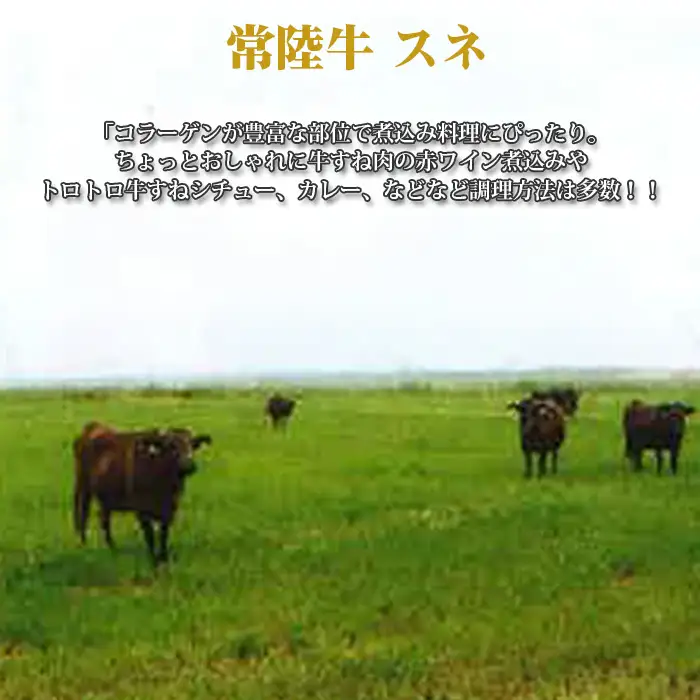 【常陸牛】スネ　約1kg＜茨城県共通返礼品＞ No.439