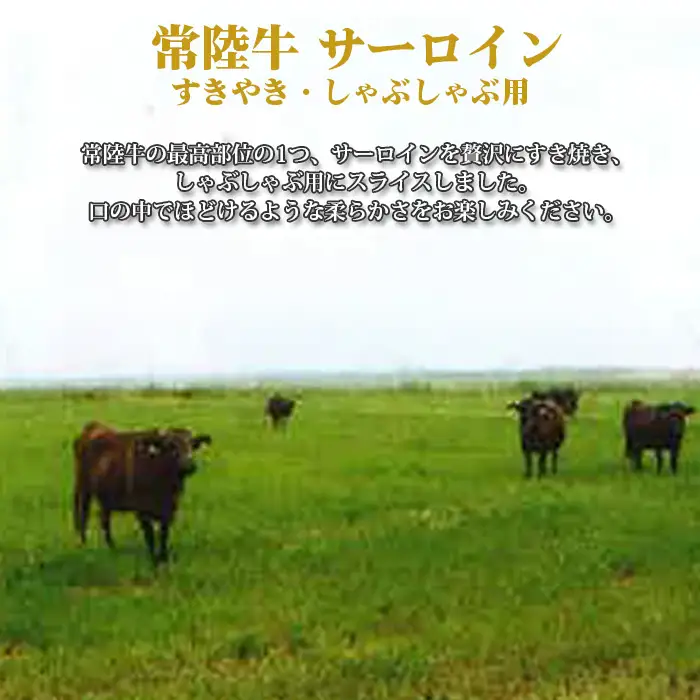 【常陸牛】サーロイン　すき焼き・しゃぶしゃぶ用　約350g＜茨城県共通返礼品＞ No.446