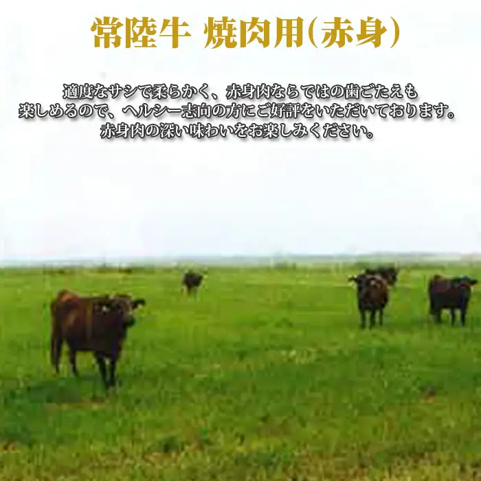 【常陸牛】焼肉用（赤身）約900g＜茨城県共通返礼品＞ ／ 常陸牛 焼肉 赤身 牛肉 黒毛和牛 国産 旨み 歯ごたえ ヘルシー 脂控えめ 焼肉用 BBQ 大容量 ご褒美 茨城県 No.454