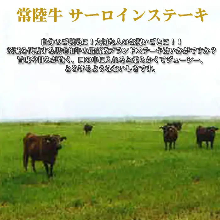 【常陸牛】サーロインステーキ　約250g×3枚＜茨城県共通返礼品＞ No.459
