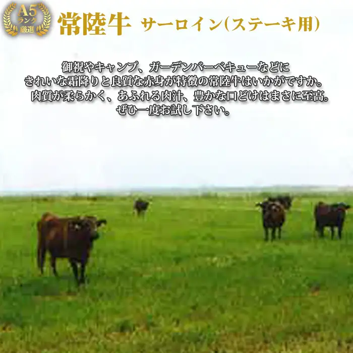 【常陸牛】A5ランク厳選サーロイン（ステーキ用）約250g×3枚＜茨城県共通返礼品＞ No.460