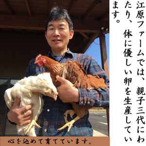 【定期便12か月】江原ファーム　体に優しい地養卵（30個） _AG15