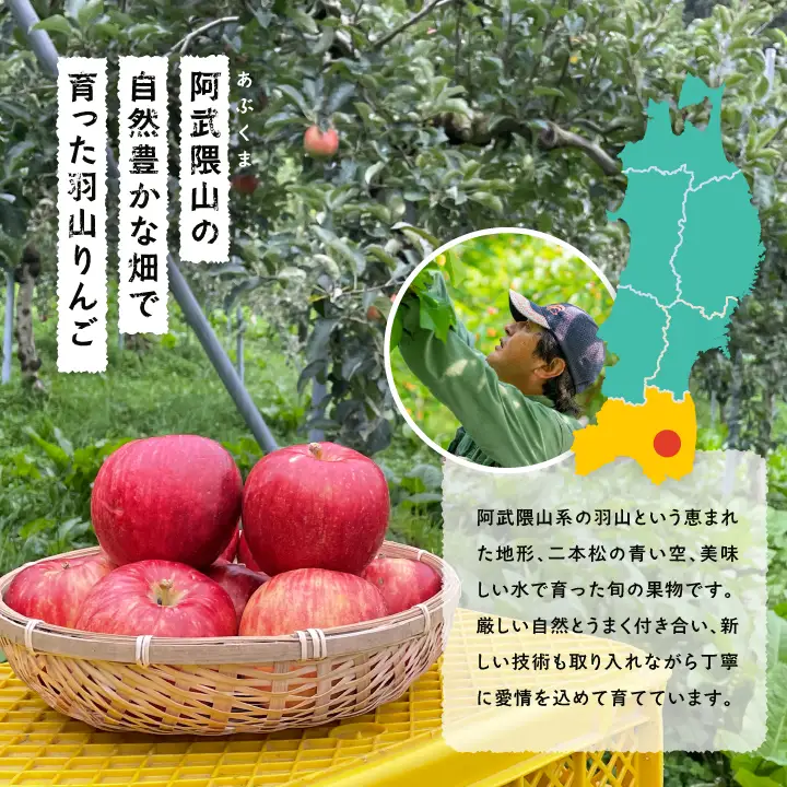 りんごジュース 果汁100％ 羽山のりんご ほっぺくん 大瓶（1L×3本）|りんごジュース【羽山果樹組合】