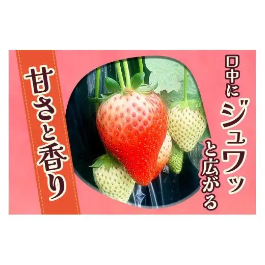 やさしさ仕立ての とちあいか 280g×4P 【2027年先行予約】 栃木県 矢板市