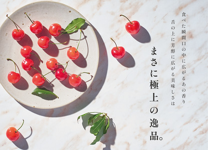 ＜2026年発送先行予約＞南アルプス市産 大粒さくらんぼ“佐藤錦” 2L,3Lサイズ 70粒入 ALPAL016