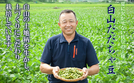 数量限定【令和8年産先行予約】 白山だだちゃ豆　1.5kg（500g × 3袋） + 訳あり200g　鶴岡市白山産　長五郎