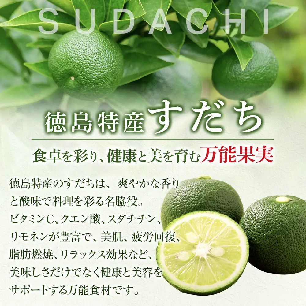 【ふるなびWEEK対象】すだち 果汁 2L（ 1L × 2本 ）スダチ  調味料 徳島県　FN-Limited-PR