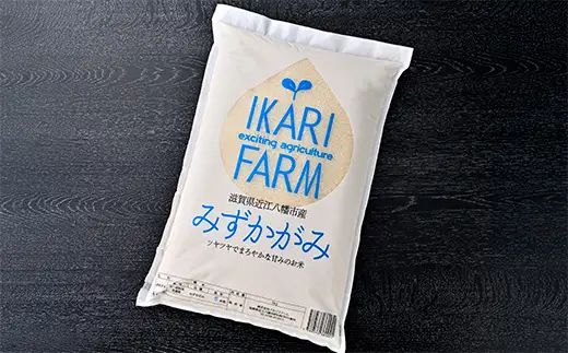 令和7年産 みずかがみ 白米 5kg 冷めても美味しい あっさりとした味わい 【C014W1】 近江米