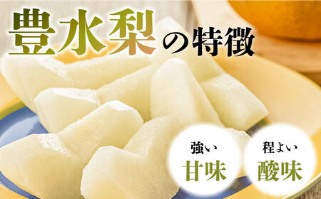 【2026年8月〜発送】【口いっぱいのみずみずしさ！】豊水梨 約5kg 梨専門 八木農園 / 梨 なし ナシ / 南島原市 / 贅沢宝庫 [SDZ033]