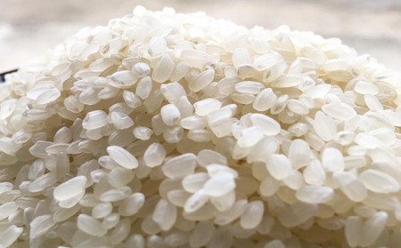 【令和7年産】農薬・化学肥料不使用 白米10kg みどり豊(コシヒカリ)