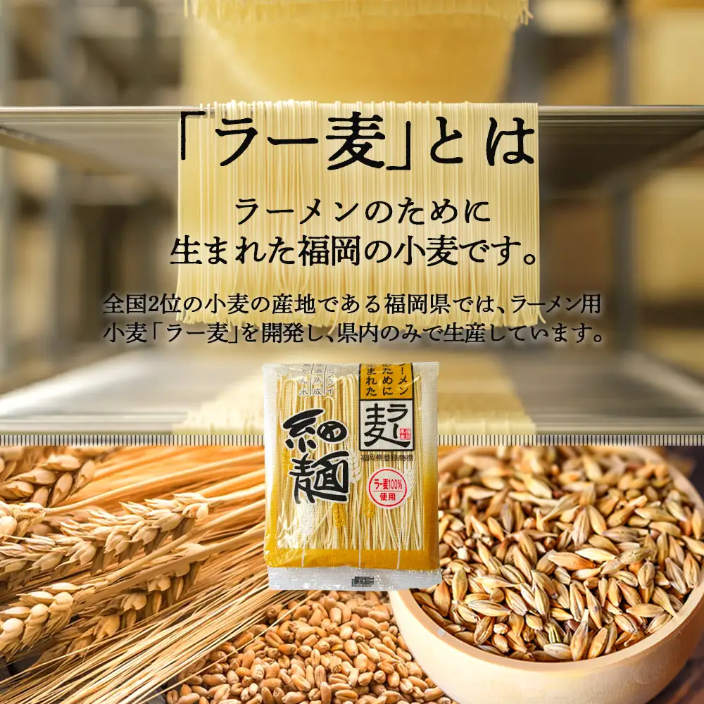 ＼ポスト投函／博多のラーメン 4食 ゆうパケットでお届け！【Z3-023】