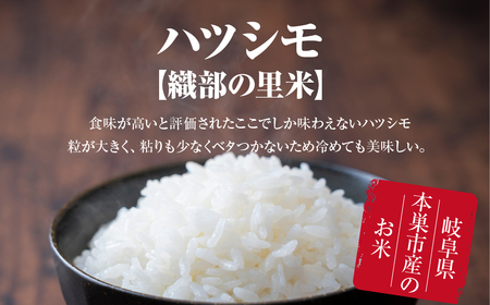 令和6年産 新米 先行受付 【織部の里米(R)】精米 ハツシモ5kg×1袋 岐阜県本巣市産 米  もとすファーム