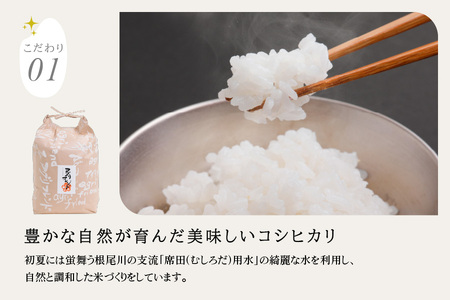 【令和5年度産】蛍舞う綺麗な水で育てたお米 有機肥料米 コシヒカリ(精米)5kg [1449]