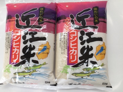 令和7年産 こしひかり 10kg 白米 【T020W3】 近江米 精米 コシヒカリ 5kg 2袋