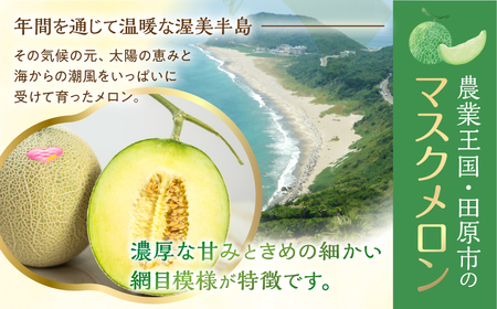 《先行予約》マスクメロン 2玉 2Lサイズ 伊良湖メロン男子