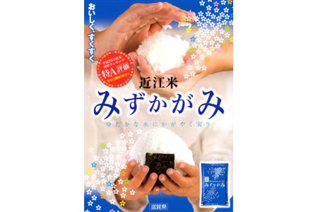 令和7年産 みずかがみ 白米 環境こだわり米 10kg 【K074W】 近江米