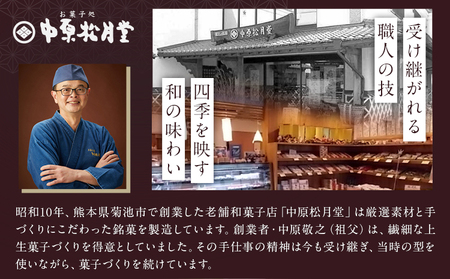 菊池銘菓 フロランタン 武光公 15個入 1箱 有限会社中原松月堂 《30日以内に出荷予定(土日祝除く)》熊本県 菊池市 スイーツ デザート フロランタン 個包装 お菓子 焼き菓子 洋菓子