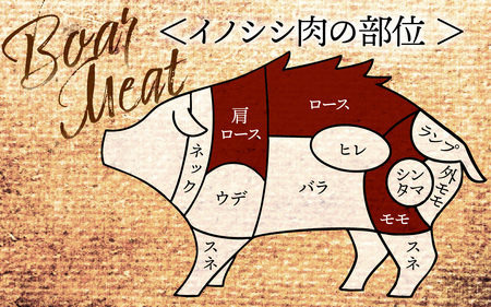 今話題のジビエ！奥能登穴水町産 天然 猪肉セット 600g