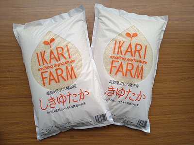 令和7年産 白米 しきゆたか 10kg ( 5kg × 2袋 ) すっごいもちもち 【C004W1】 近江米