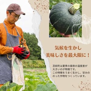 【NHKあさイチで紹介されました！】上田ファームのかぼちゃ団子（あんこ）300g×3 北海道産かぼちゃ使用 カボチャ だんご 国産 手作り おかず おやつ スイーツ 軽食 冷凍 南瓜 郷土料理 北海道 苫前町 とままえ ued04