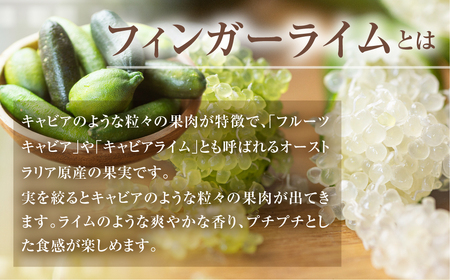 先行予約 フィンガーライムアソート 果実 200g 詰め合せ 品種お任せ フィンガーライム FINGER LIME JAPAN公認 キャビアライム フルーツキャビア 森のキャビア 柑橘 愛知県 田原市 渥美半島 国産 25000円
