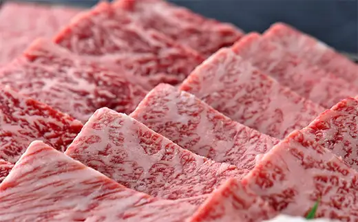 【4等級以上】近江牛 焼肉 肩ロース 500g 【AB04W】【 近江牛 】 牛肉