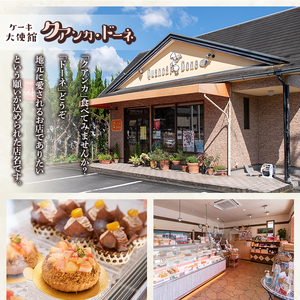 完熟ショコラ (計10個) ショコラ チョコレート スイーツ アイス 冷凍 お菓子 おやつ 焼き菓子 お取り寄せ 大分県 佐伯市 【AJ83】【 (有)ケーキ大使館クアンカ・ド－ネ】