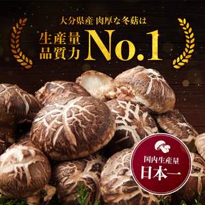 大分県産 どんこ 乾燥椎茸 50g×6