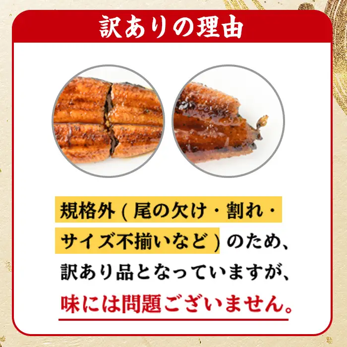 訳あり 鹿児島県産 うなぎ 蒲焼 特大 1尾 うなぎ【00-025-19-90】