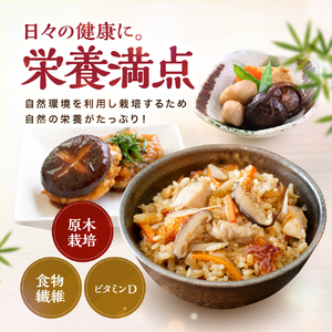 大分県産 乾燥椎茸 90g×3 乾しいたけ | 干し椎茸 干ししいたけ 乾燥しいたけ 干しシイタケ 大分県産 九州産 中津市