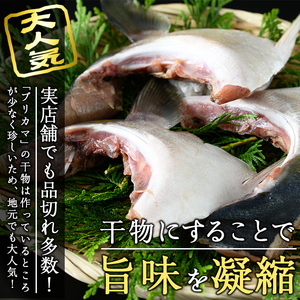 ＜お試し用＞ひもの丸丁の塩ブリカマ(3～4枚入り)×2パック　大分県産 国産 ブリ ぶり 鰤 養殖ブリ 新鮮 鰤かま 冷凍 大分県 佐伯市【DH254】【ネクサ】