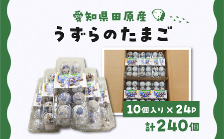 田原市産 うずらの卵 10玉入り×24パック タイデスうずら 鶉 ウズラ たまご 240個 クウェールコスモス 愛知県 田原市 国産 渥美半島 18000円