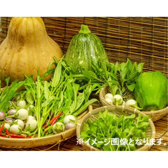 河南町新鮮アジア野菜「お手軽セット」 No.332
