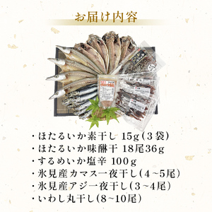 お酒のお供「ほたるいか素干し」「ほたるいか味醂」「するめいか塩辛」珍味３種と鱈場おすすめ氷見産一夜干し３種セット 魚貝類 加工食品 魚介類 ホタルイカ イカ 塩辛 みりん干し カマス アジ 一夜干し イワシ 富山湾 氷見