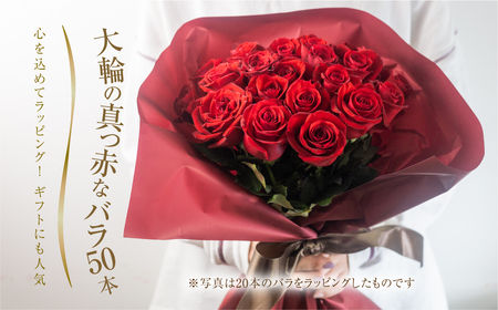 バラ 花束 大輪 赤 50本 (40cm) ブーケ 薔薇 ローズ 生花 観賞用 プレゼント 花 ギフト 誕生日 植物 フラワー 土壌栽培 産地直送 田原市 人気 切り花 切花 28000円