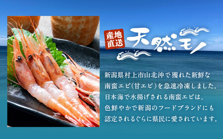 「南蛮エビ（甘エビ）」1kg 新鮮！県北寝屋漁港直送！ 1043001 