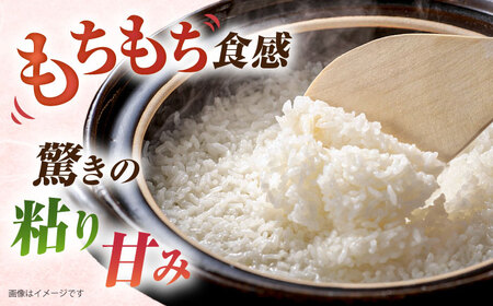 【 3回 定期便 】ミルキークイーン 5kg  《糸島》【 玄米 ・ 精米 専門店 新飼宗一郎商店】 [ADE003]