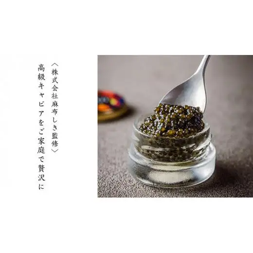 SEIJI caviar ( キャビア ) 30g × 4個