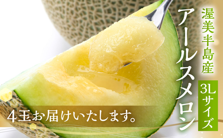 《先行予約》アールスメロン 3L×4玉 メロン 日研農園