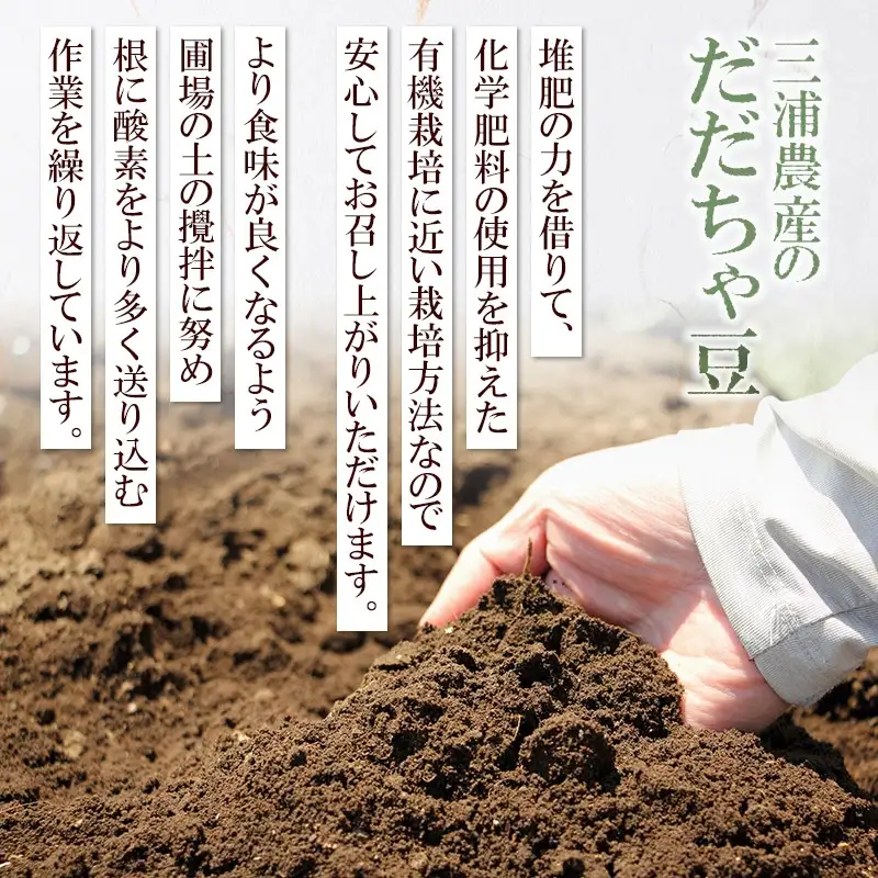 【令和8年産先行予約】 山形県鶴岡産 だだちゃ豆　約1.5kg（500g×3袋）　三浦農産