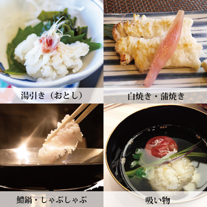 活〆 鱧（はも）切り身【骨切り・カット済】1.2kg