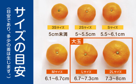 ※【2026年12月上旬より順次発送／先行予約】伊木力みかん(大玉) 10kg / みかん ミカン 蜜柑 フルーツ 果物 / 諫早市 / 山野果樹園 [AHCF005]