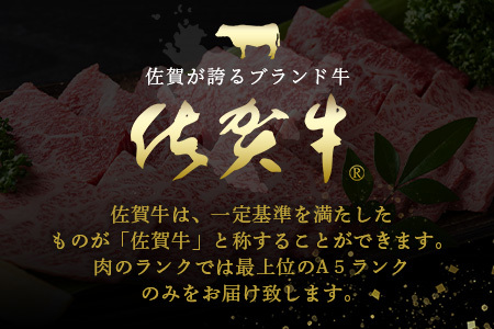 佐賀牛　もりもりカルビ肉（焼き肉用）定期便６回コース　総重量６kg 　V-51