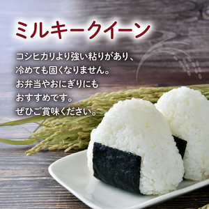 令和7年産 無洗米 ミルキークイーン 5kg | 無洗米 お米