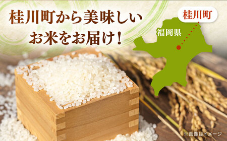  桂川町産 白米 4kg と しょうがの佃煮セット [ADAI001] 米 佃煮