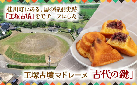 王塚古墳マドレーヌ（12個入り） [ADAJ001]  焼菓子マドレーヌ
