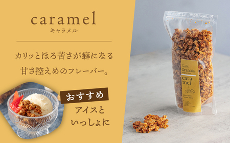 ケーキ屋さんの グラノーラ 3種食べ比べ（キャラメル・はちみつ・塩）200g×3袋 桂川町/order made cake Toi Toi [ADAW001] グラノーラ 朝食 シリアル 焼菓子 小袋