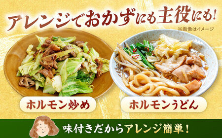 味付き ホルモン （旨辛・味噌・筑豊ホルモン焼き）3種セット 桂川町/マルマツ産業株式会社 [ADAE005] ホルモン焼き ホルモン 味付きホルモン 焼肉 冷凍