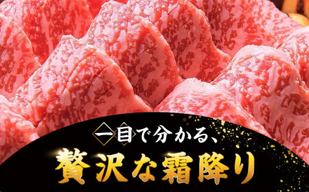 博多和牛 焼肉 用 500g 国産 桂川町/株式会社 MEAT PLUS [ADAQ009] 和牛 焼肉 焼き肉 BBQ 冷凍 牛肉